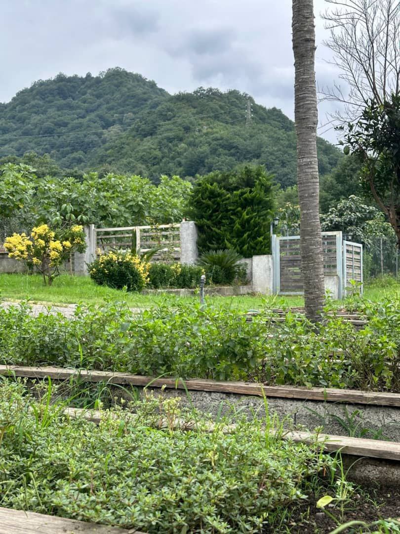 photo_2024-12-19_10-47-10