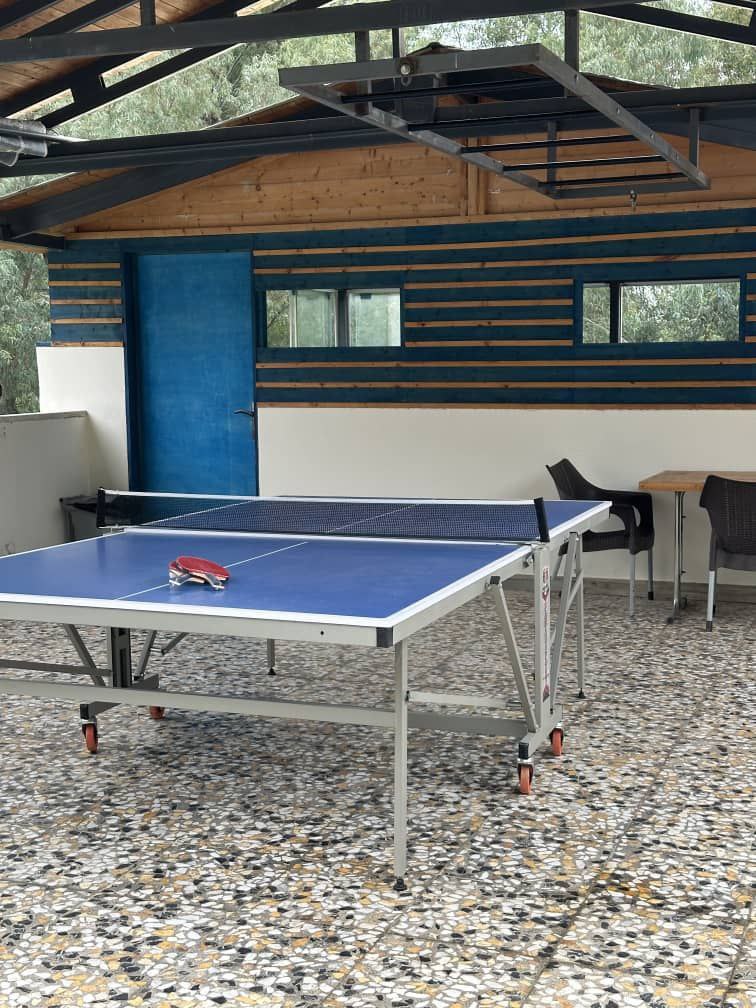 photo_2024-12-19_10-47-15