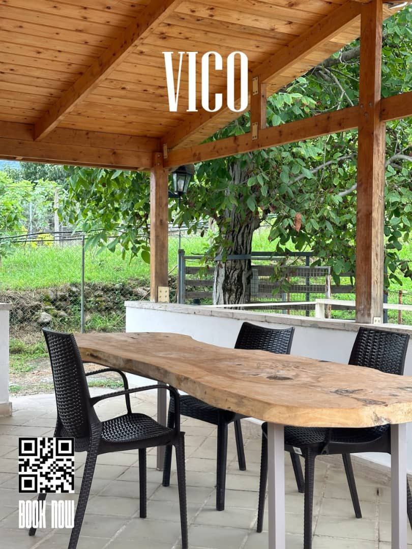 photo_9_2024-12-19_18-01-59